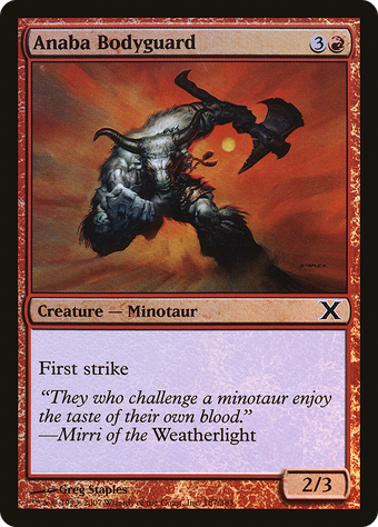 Anaba Bodyguard image