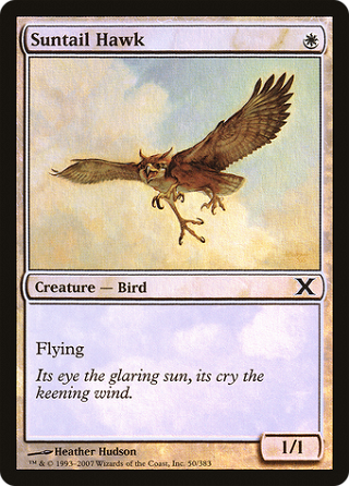 Suntail Hawk image