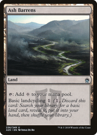 Ash Barrens image