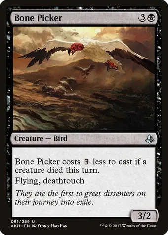 Bone Picker image