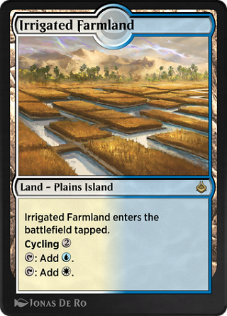 Irrigated Farmland image