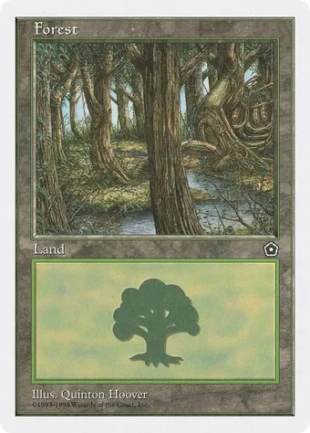 Forest image
