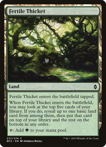 Fertile Thicket image