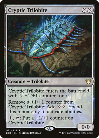 Cryptic Trilobite image