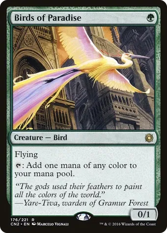 Birds of Paradise image