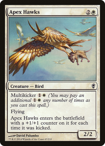 Apex Hawks image