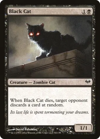 Black Cat image