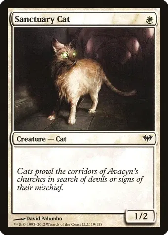 Sanctuary Cat image