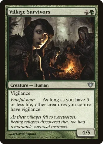 Village Survivors image