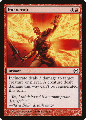 Incinerate image