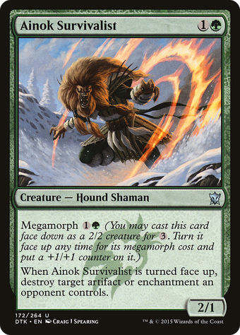 Ainok Survivalist image