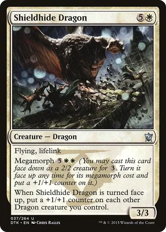 Shieldhide Dragon image