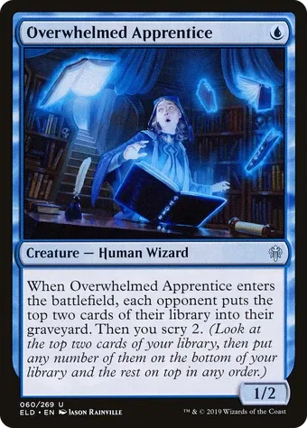 Overwhelmed Apprentice image