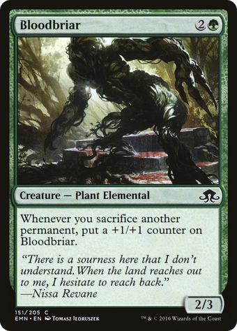 Bloodbriar image