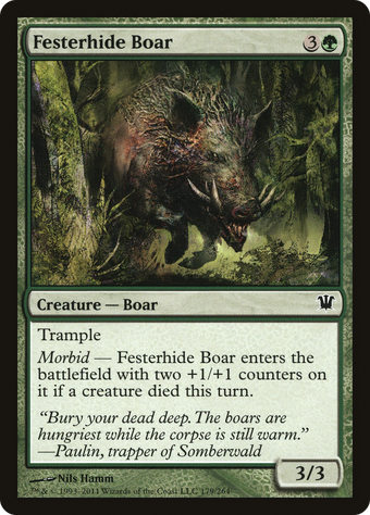 Festerhide Boar image