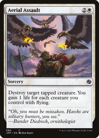 Aerial Assault image