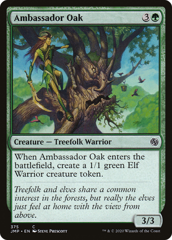 Ambassador Oak image