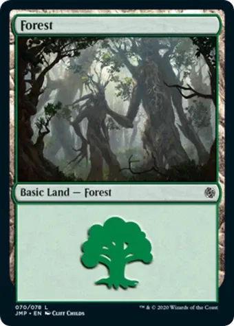 Forest image