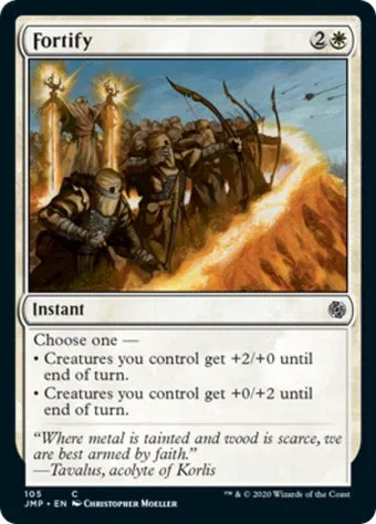 Fortify image