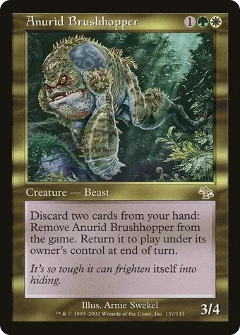 Anurid Brushhopper image