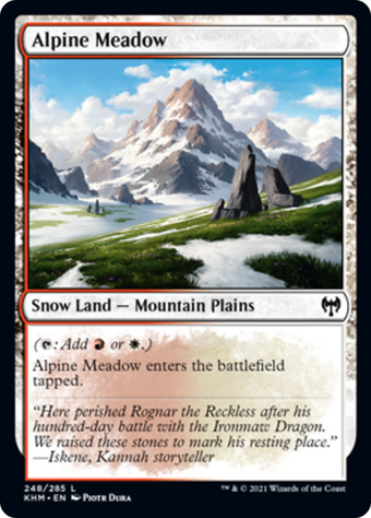 Alpine Meadow image