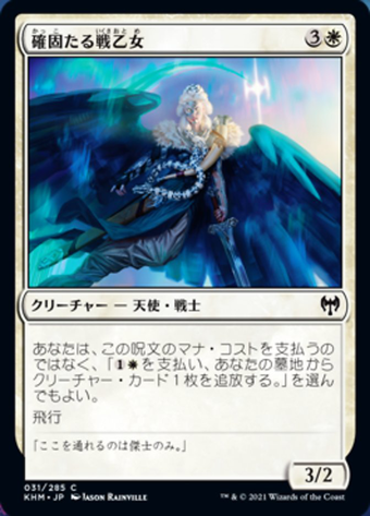 Resolute Valkyrie image