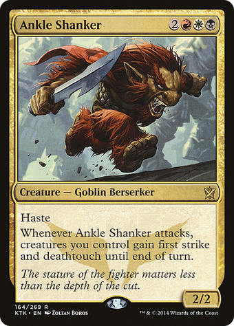 Ankle Shanker image