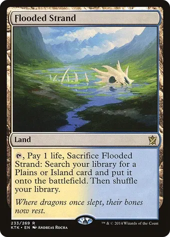 Flooded Strand image