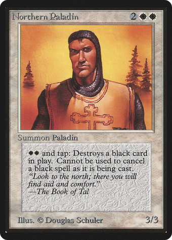 Northern Paladin image