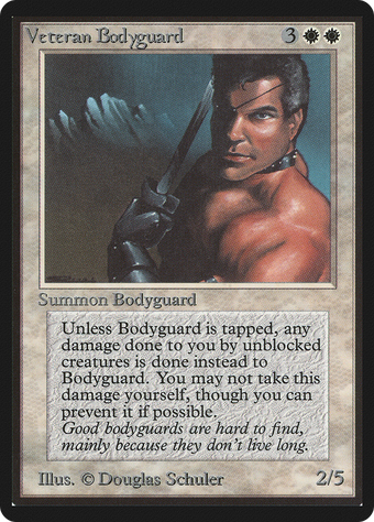 Veteran Bodyguard image