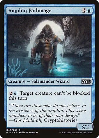 Amphin Pathmage image