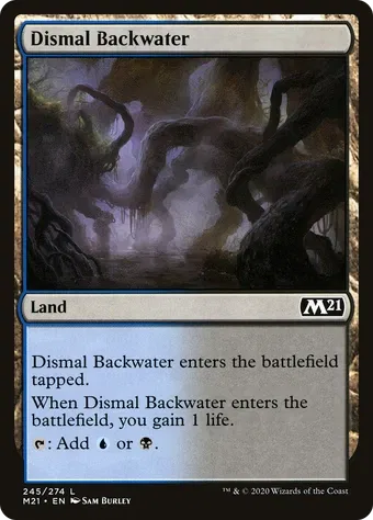 Dismal Backwater image