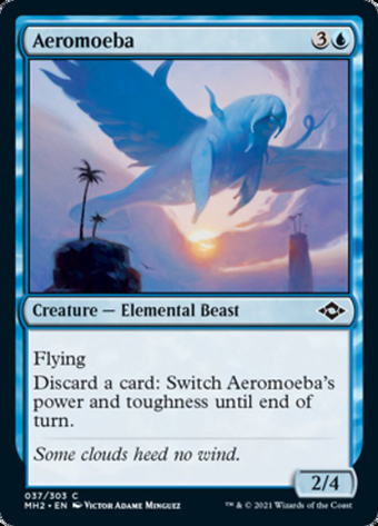 Aeromoeba image