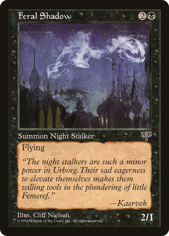 Feral Shadow image