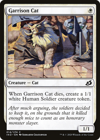 Garrison Cat image