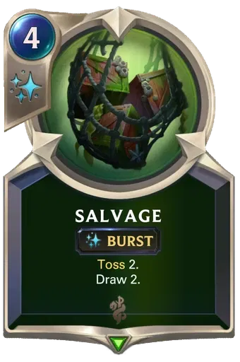 Salvage image