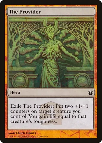 The Provider image