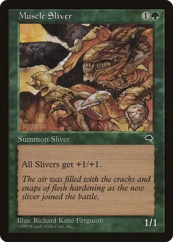 Muscle Sliver image