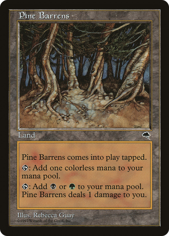 Pine Barrens image