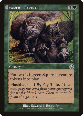 Acorn Harvest image