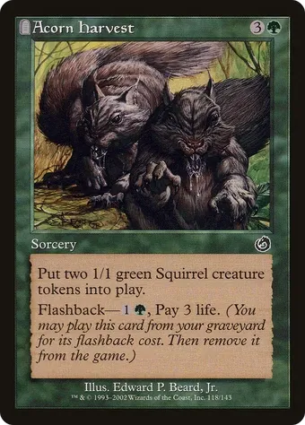 Acorn Harvest image
