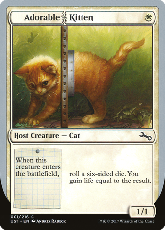 Adorable Kitten image