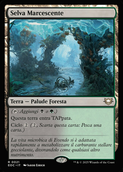 Selva Marcescente image