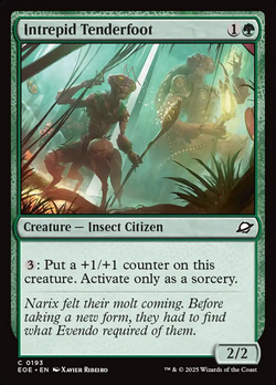 Intrepid Tenderfoot image