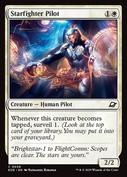 Piloto de caça estelar image