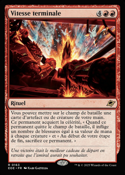 Vitesse terminale image