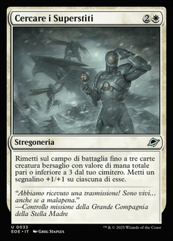 Cercare i Superstiti image