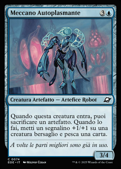 Meccano Autoplasmante image