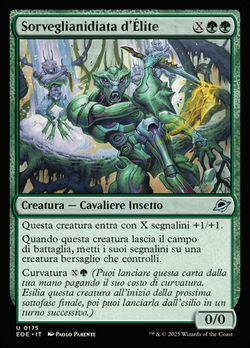 Sorveglianidiata d'Élite image