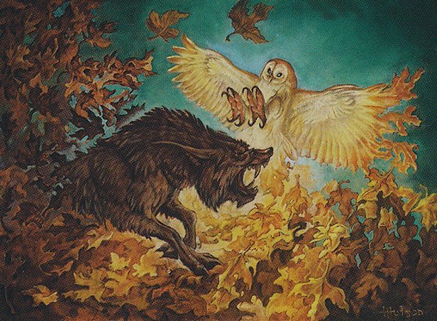 Fable of Wolf and Owl Crop image Wallpaper